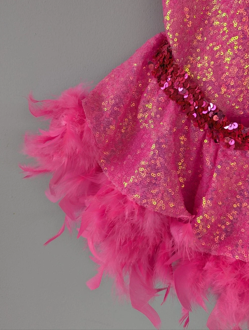 A Wish Come True Girls Hot Pink Sequin & Feathers Two Piece Skirt Dance Costume